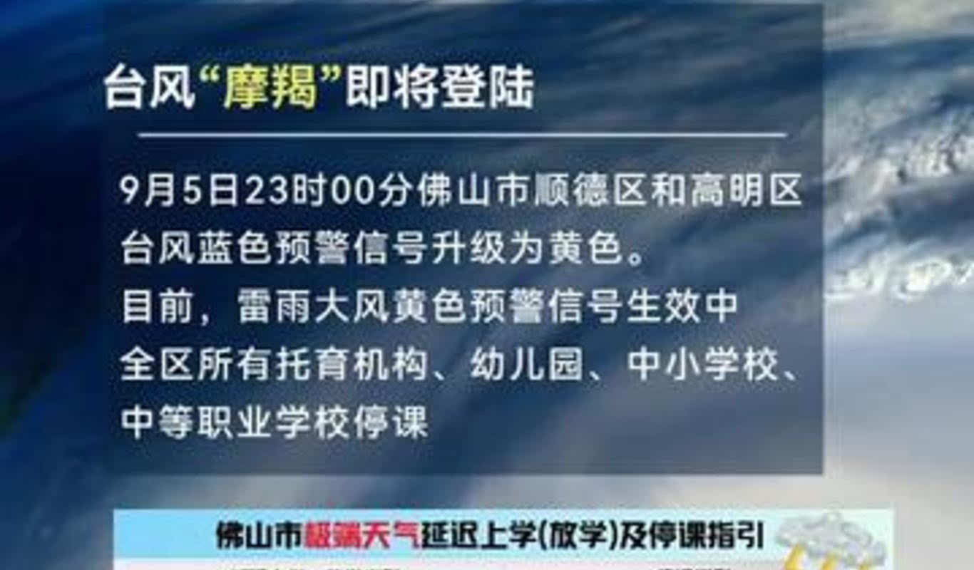 顺德鹦鹉台风预警最新动态,多方观点分析与个人立场阐述
