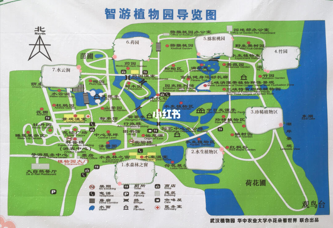 武汉植物园最新动态与最新发现揭秘