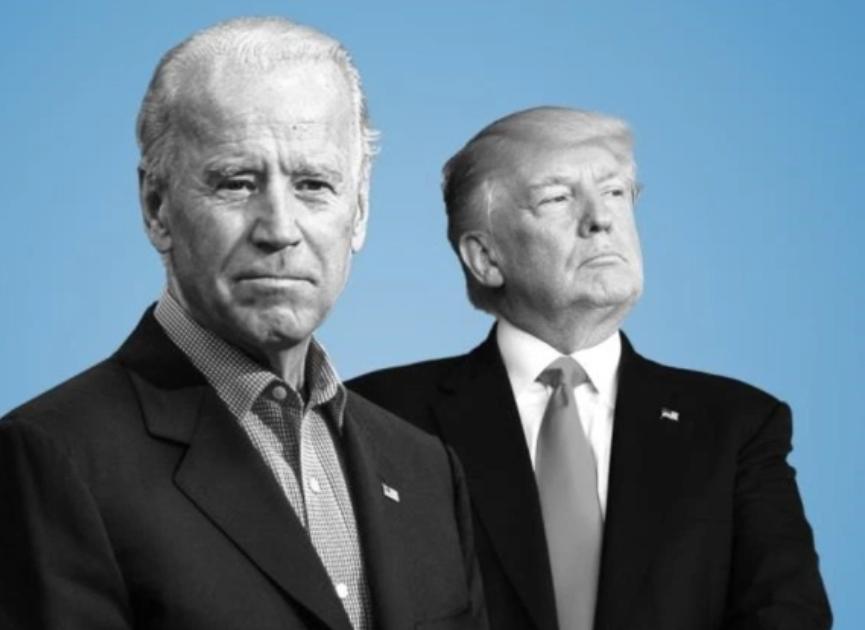 美国近期疫情最新信息及温馨日常故事概述