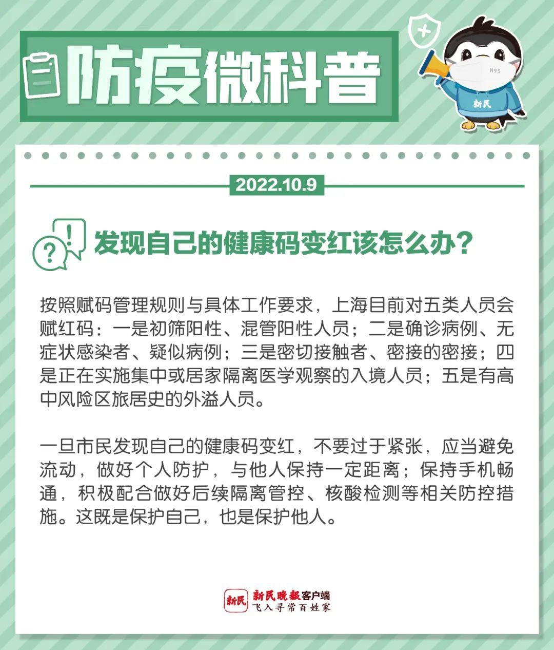 新疆最新确诊肺炎病例详解，步骤指南与初学者进阶指南