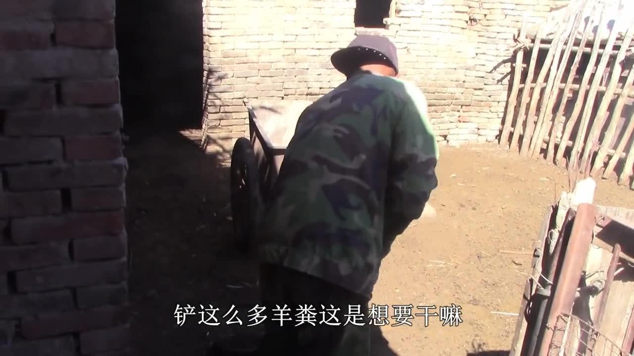 农民大黑最新视频,科技重塑田园梦想,前沿科技产品体验之旅