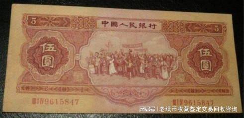 五元最新版升级魅力与价值探索