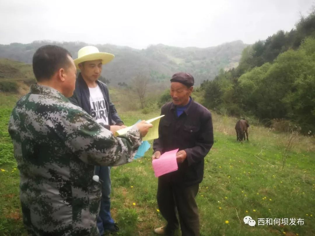 查山最新事件,学习变革的力量,自信与成就感的融合之旅