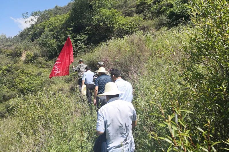 查山最新事件,学习变革的力量,自信与成就感的融合之旅