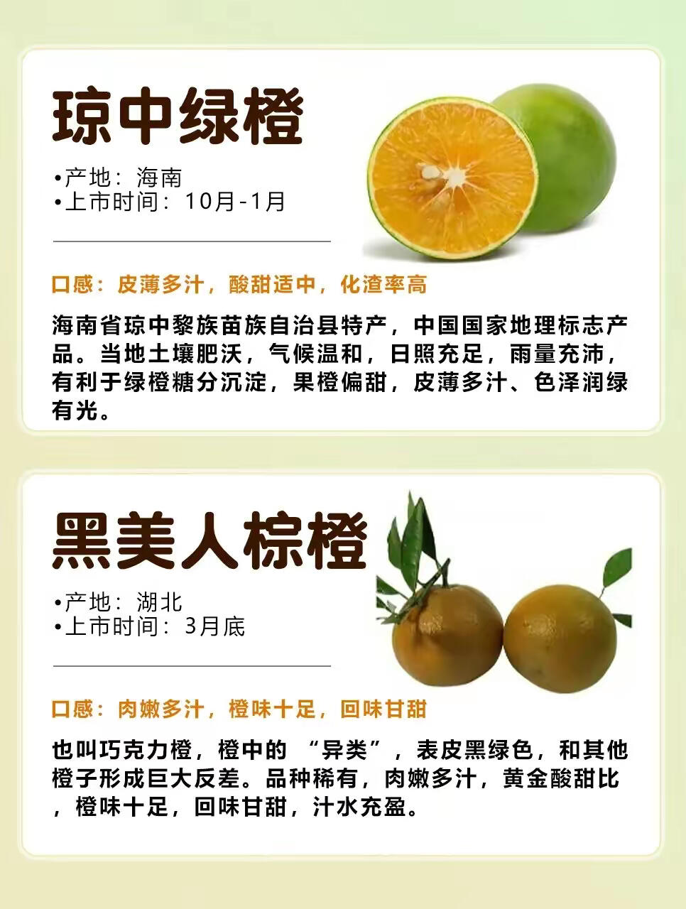 最新品种橙子,鲜甜风味革命来袭!