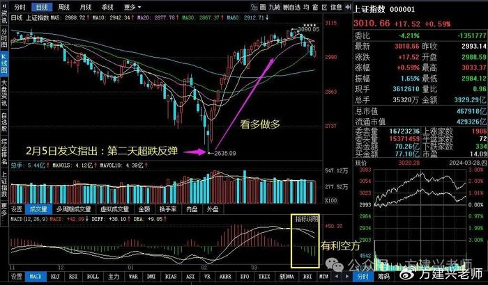 上海证券最新传闻揭秘,神秘小巷探秘之旅