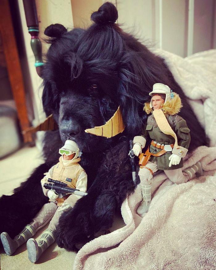 全球疫情动态分析,疫情最新源头及扩散情况揭秘