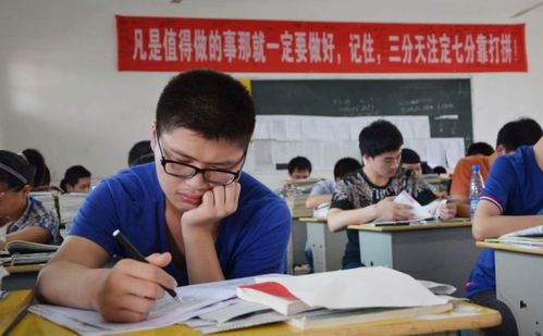 2025最新高考政策，向未来启航，学习创造无限可能