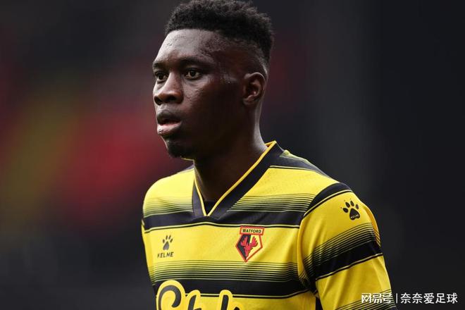 沃特福德最新阵容深度解析与解析,球员配置及战术分析