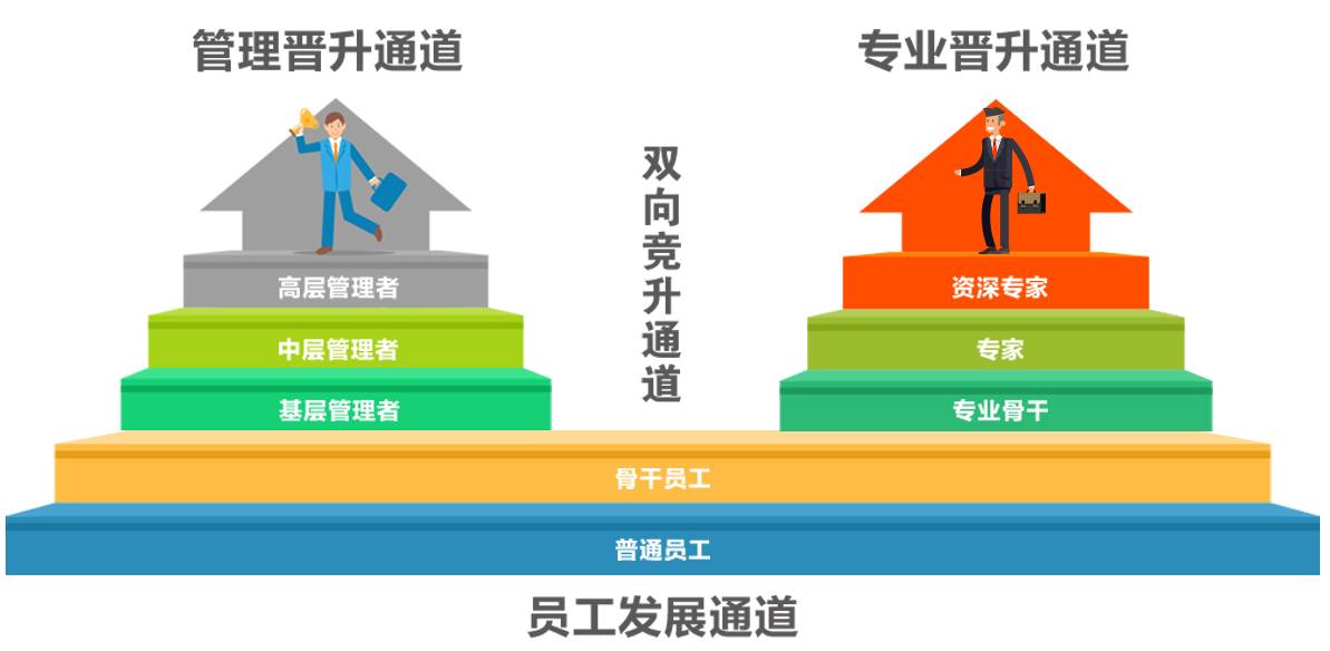 环球易购最新动态，变革中的学习之旅，自信与成就感的源泉