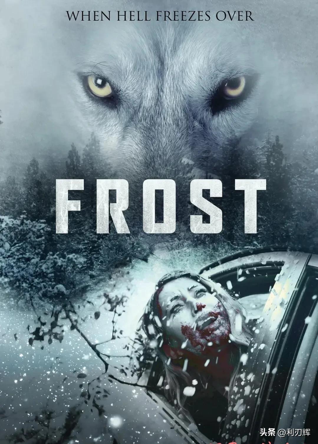 最新惊悚罪案电影,小巷深处的秘密影院探秘