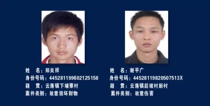 赤壁市最新通缉公告，重大案件最新动态与要点解析