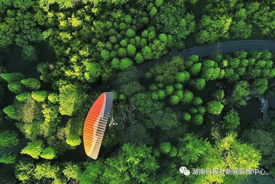 与17lu8共赴自然美景之旅，探寻内心宁静的旅程