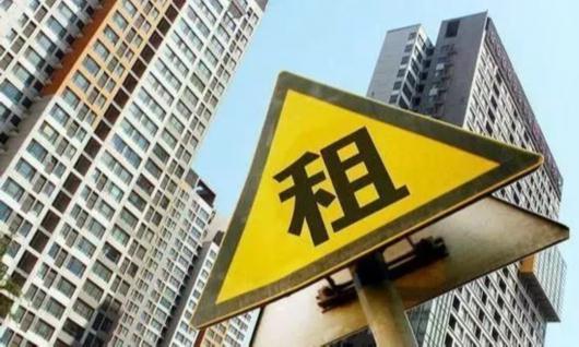 蛋壳最新政策深度解析，不可不知的要点概览🔥
