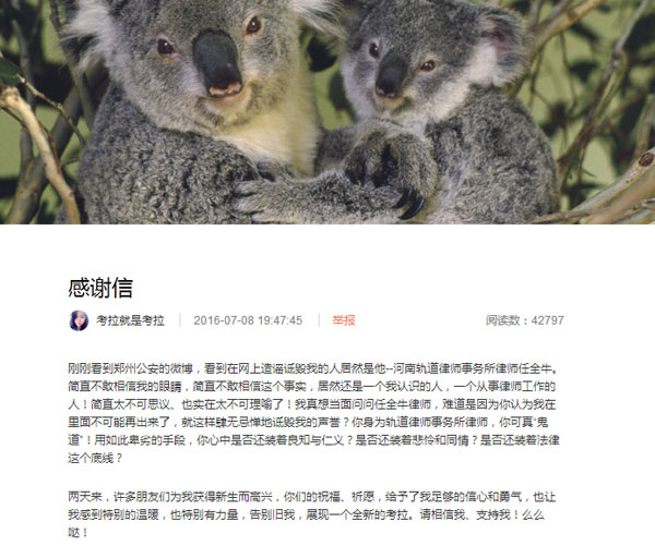 考拉赵威最新探索之旅，自然美景中的心灵寻觅与平和之旅