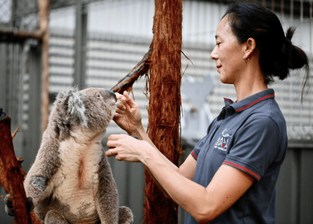 考拉赵威最新探索之旅,自然美景中的心灵寻觅与平和之旅