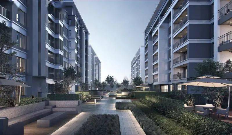 长沙印湘山最新论述与动态分析