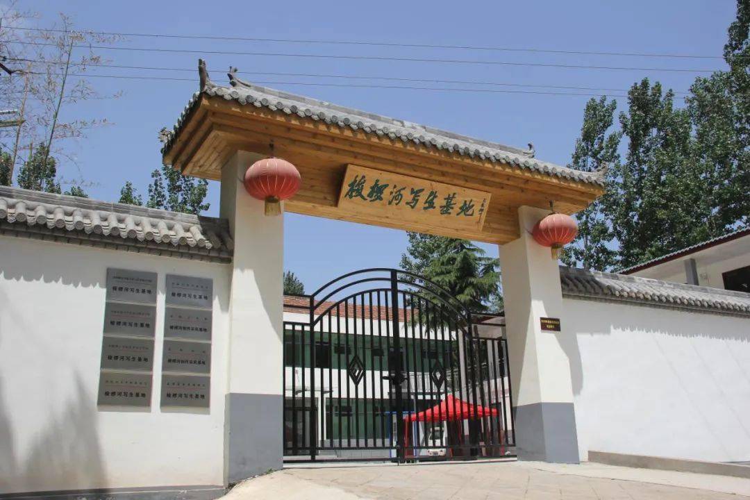 河南最新农村大门,小巷中的独特魅力与隐秘瑰宝